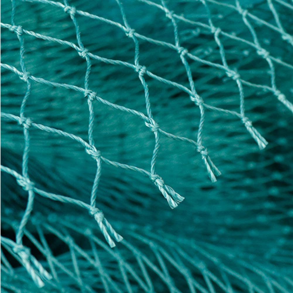 Jaring Kebun Anti Burung Solid - Fishing Equipment Net ulasan dan harga